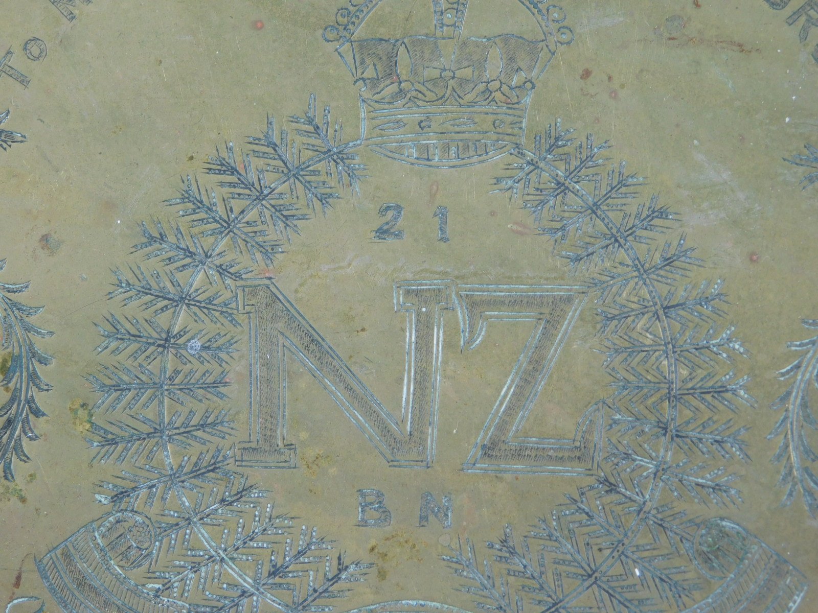 DSCN5244