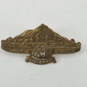 New Zealand Taranaki Regiment Cap Badge